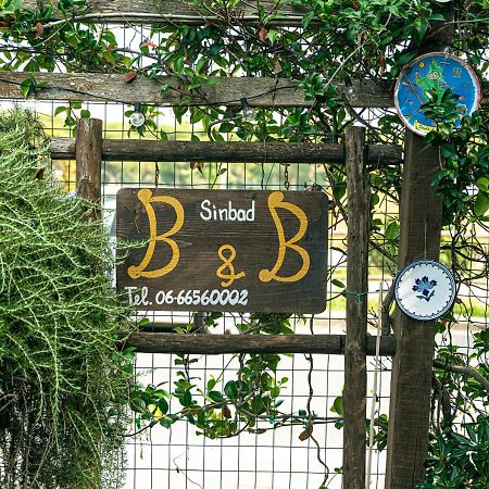 B&B Sinbad La Scialuppa Fregenae Esterno foto